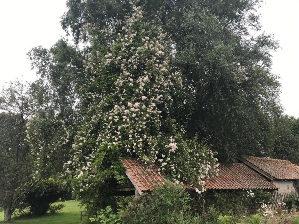 לינה וארוחת בוקר Maintenay Le Jardin Sauvage מראה חיצוני תמונה