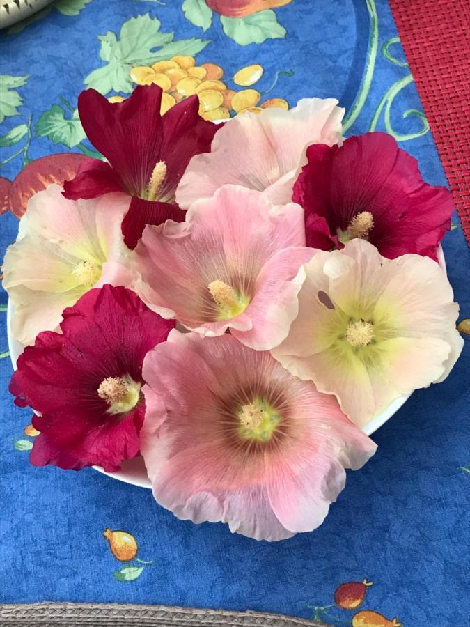 לינה וארוחת בוקר Maintenay Le Jardin Sauvage מראה חיצוני תמונה